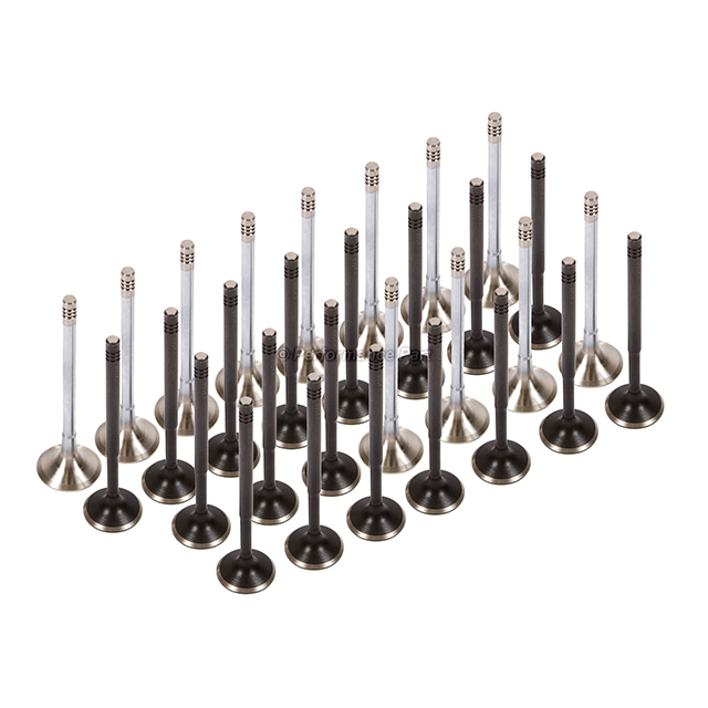 058-109-601, 058-109-611, 058109601, 058109611, IV800, EV800 Intake Exhaust Valves for Audi A4 A6 Quattro Volkswagen 2.7L & 2.8L DOHC 30V