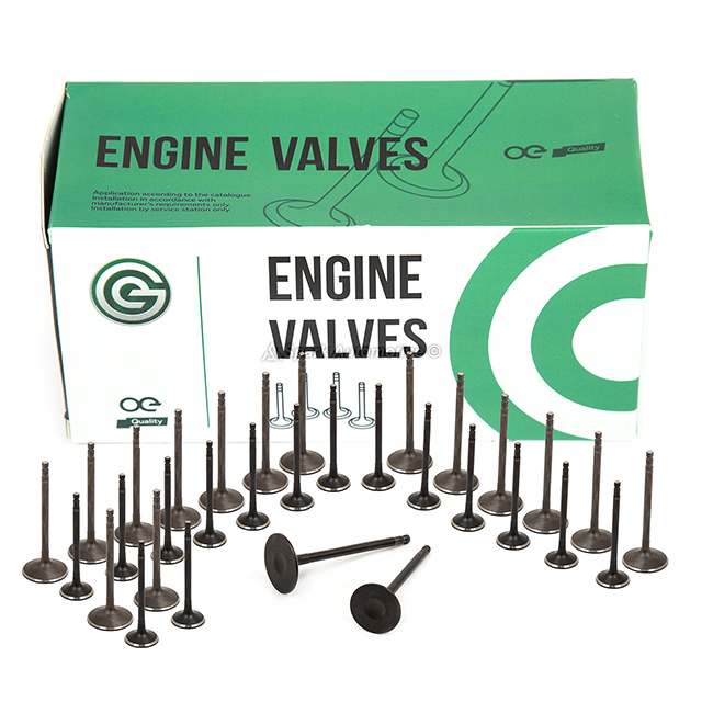 13201-7S000 , 13202-9BF1A , 132017S000 , 132029BF1A , IV644, EV644 Intake Exhaust Valves Fit 04-13 Infiniti QX56 Nissan Pathfinder Titian 5.6L 32V